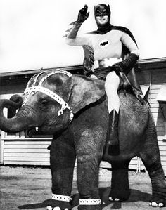 e81c34ecaffb3d8b83d5381eab1924cd.jpg image